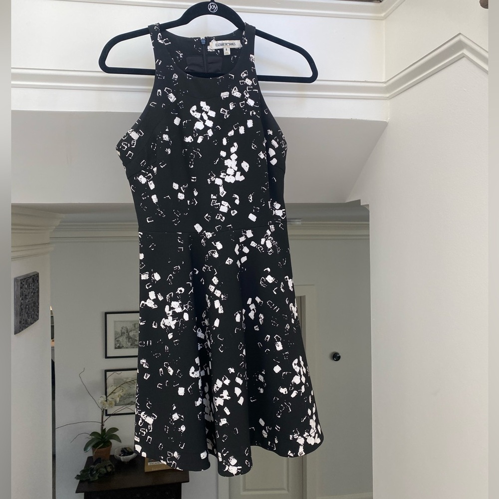 Elizabeth and James Fit and Flare Dress